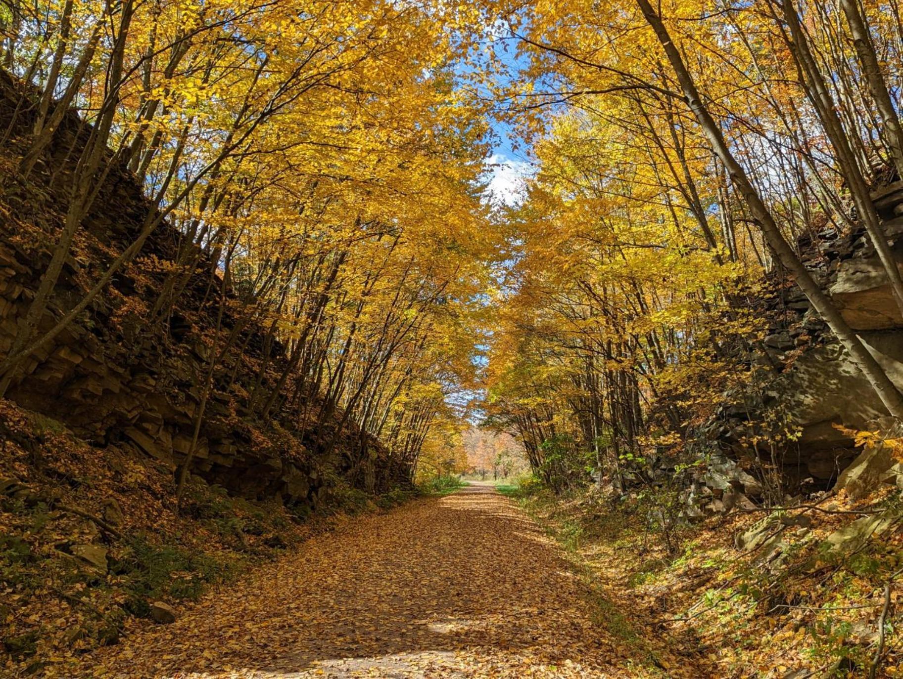 Stay In Ohiopyle Near Everything Including The Trail, Ohiopyle Pa Farmington Exterior photo